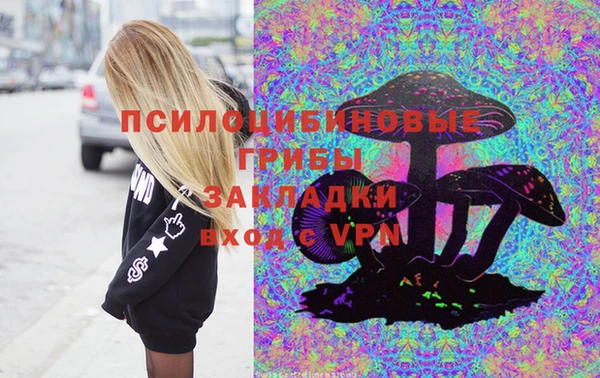 ешки Аркадак