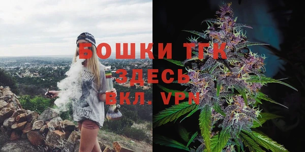 ешки Аркадак