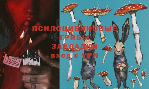 крисы Балабаново
