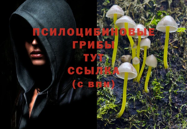 ALPHA-PVP Армянск